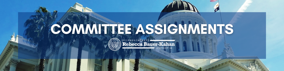 assembly committee assignments